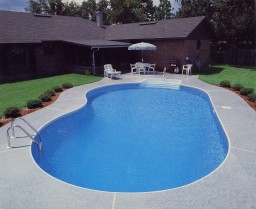 Oasis Pools: | Swimming Pools Construction | swimming pools
